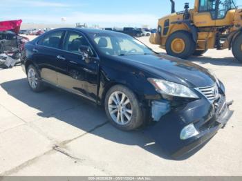  Salvage Lexus Es