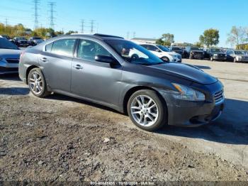  Salvage Nissan Maxima