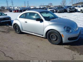  Salvage Volkswagen Beetle