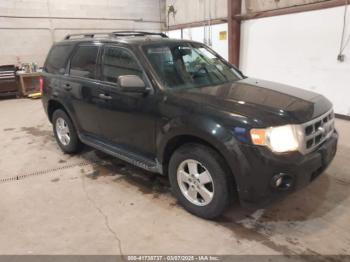  Salvage Ford Escape