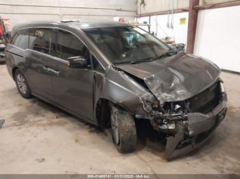  Salvage Honda Odyssey