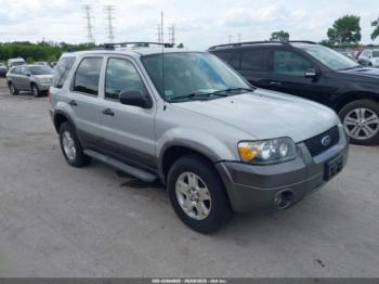  Salvage Ford Escape