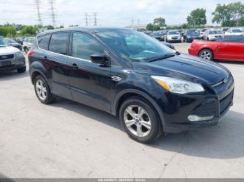  Salvage Ford Escape