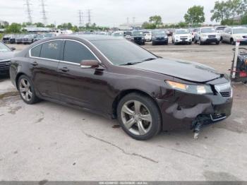  Salvage Acura TL