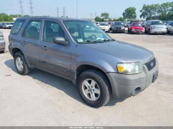  Salvage Ford Escape