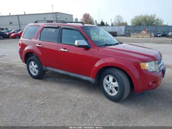 Salvage Ford Escape