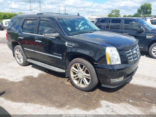  Salvage Cadillac Escalade