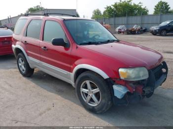  Salvage Ford Escape
