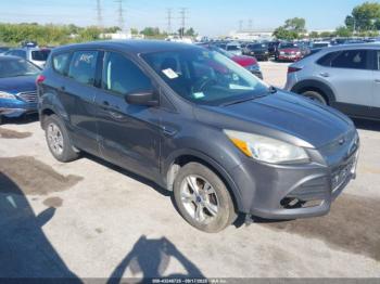  Salvage Ford Escape