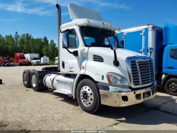  Salvage Freightliner Cascadia 113