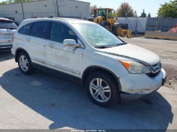  Salvage Honda CR-V