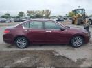 Honda Accord 3.5 Ex-l Image 14