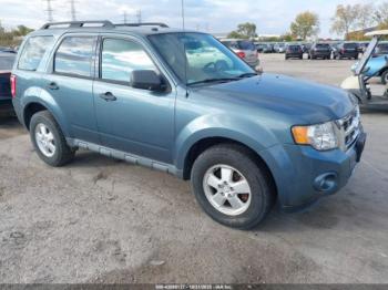  Salvage Ford Escape