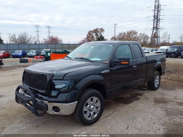 Ford F-150 Xlt Image 12