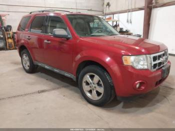  Salvage Ford Escape