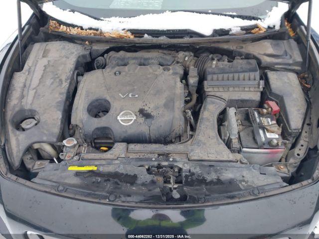 Nissan Maxima 3.5 S Image 2