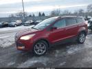 Ford Escape Se Image 10