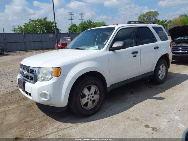 Ford Escape Xlt Image 5