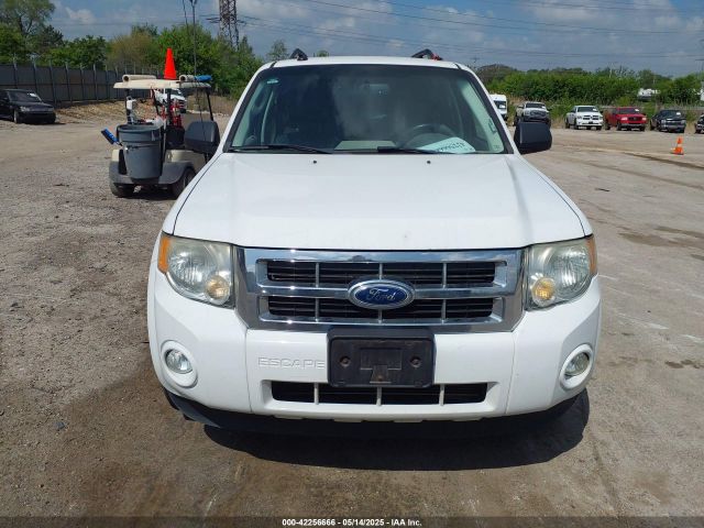 Ford Escape Xlt Image 10