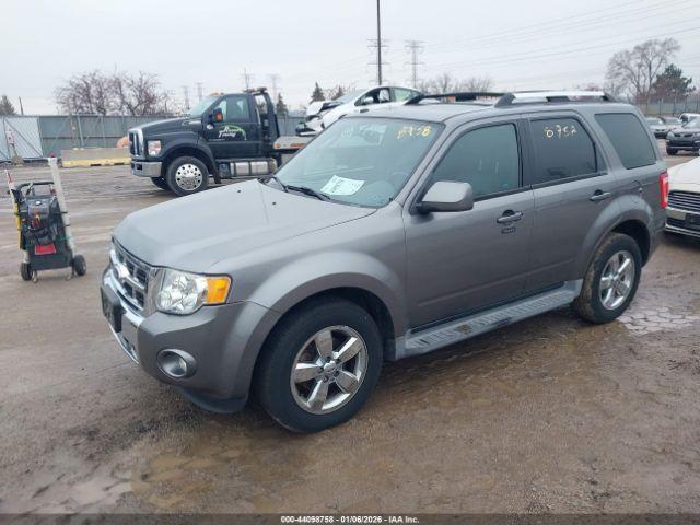 Ford Escape Limited Image 5