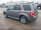 Ford Escape Limited Image 2