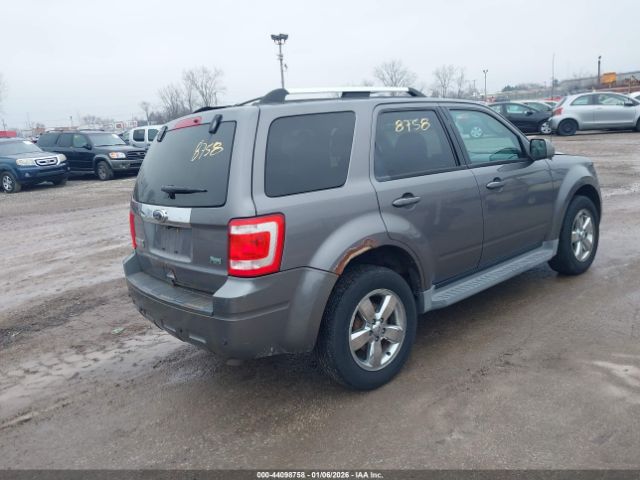 Ford Escape Limited Image 6